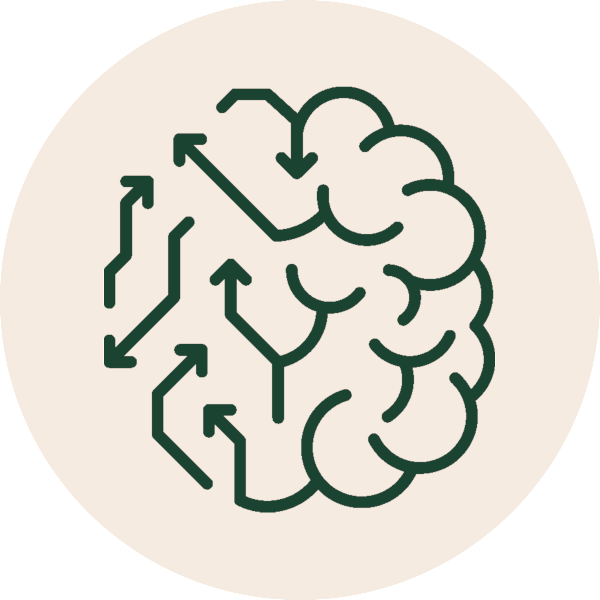Regenerative Software Model
